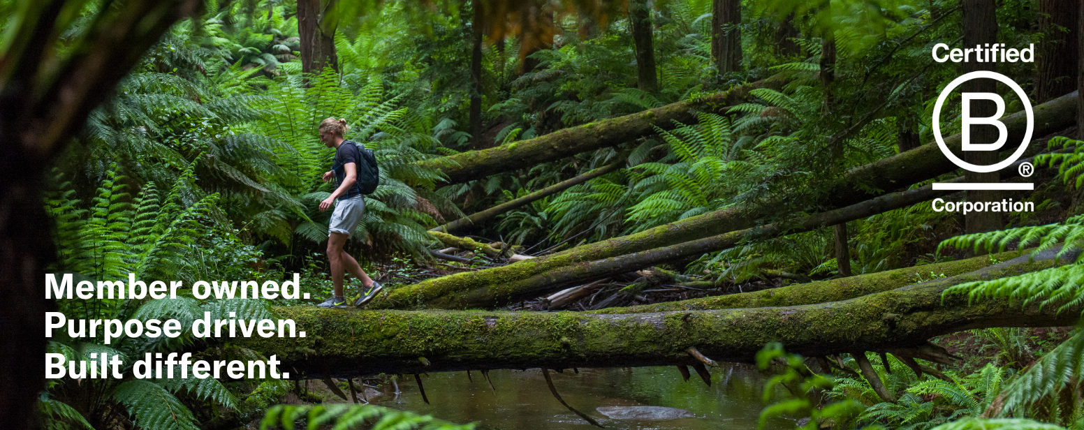 B Corp Landing Page Header_new design.png