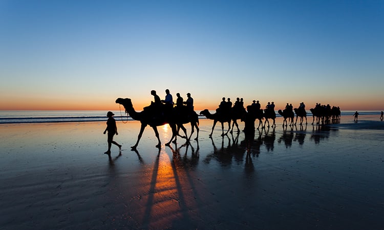 Camel ride on Cable Beach near Broome YHA